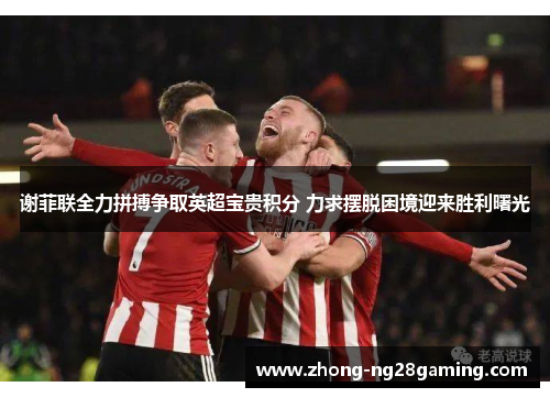 谢菲联全力拼搏争取英超宝贵积分 力求摆脱困境迎来胜利曙光